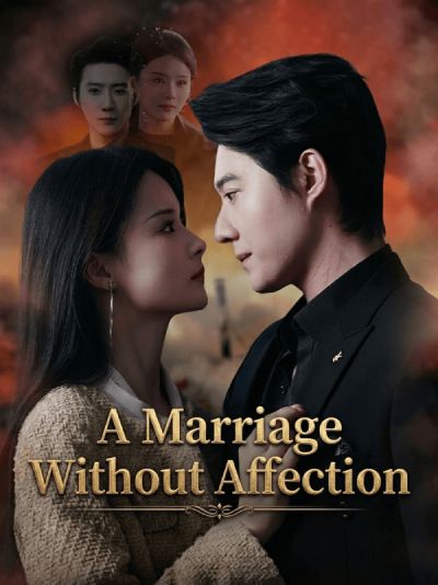 A Marriage Without Affection poster