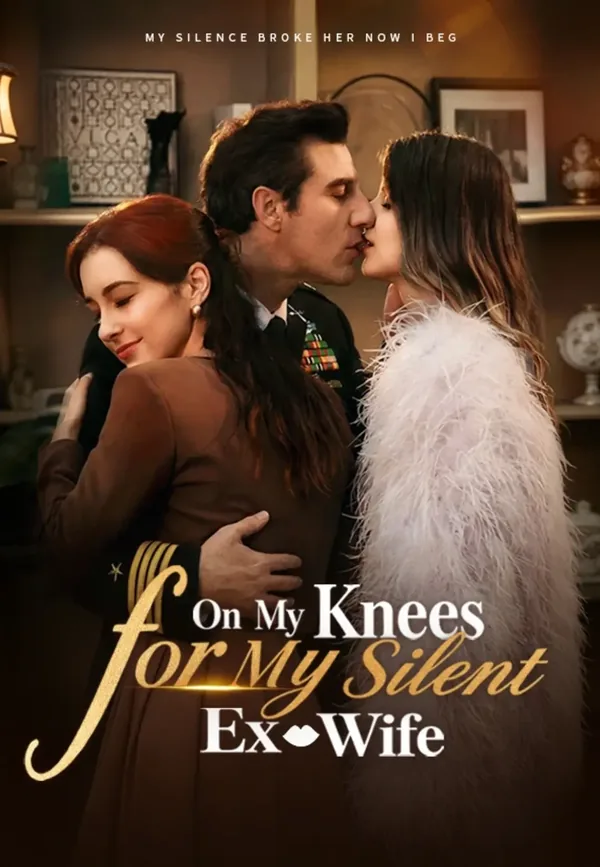 On My Knees for My Silent Ex-Wife poster