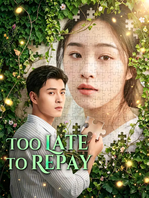 Too Late to Repay poster