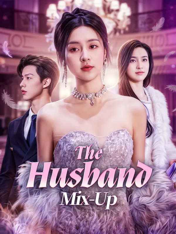 The Husband Mix-Up poster