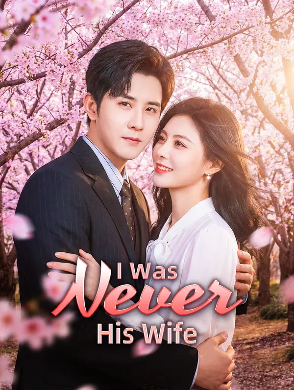 I Was Never His Wife poster