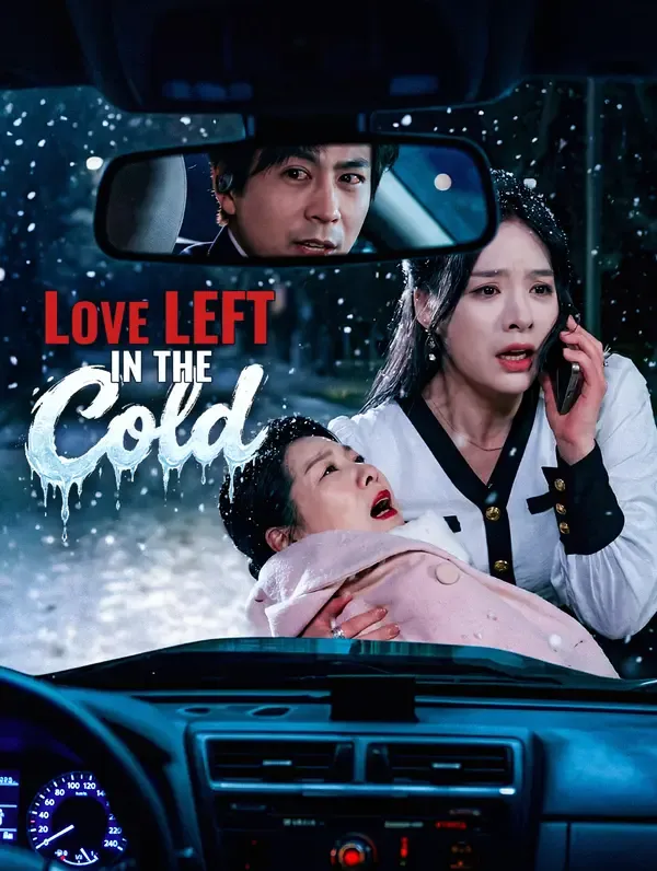 Love Left in the Cold poster