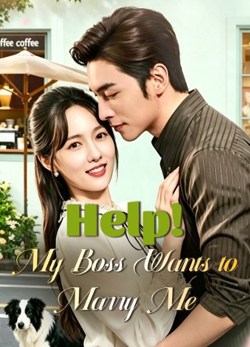 Help! My Boss Wants to Marry Me poster
