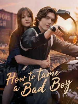 How to tame a bad boy poster