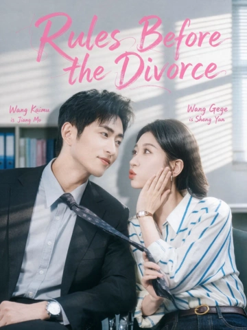 Rules Before the Divorce poster