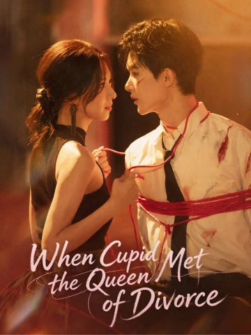 When Cupid Met the Queen of Divorce poster