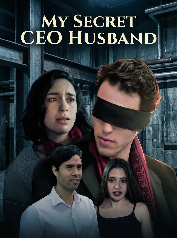 My Secret CEO Husband poster