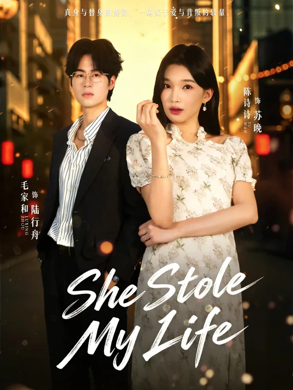 She Stole My Life poster